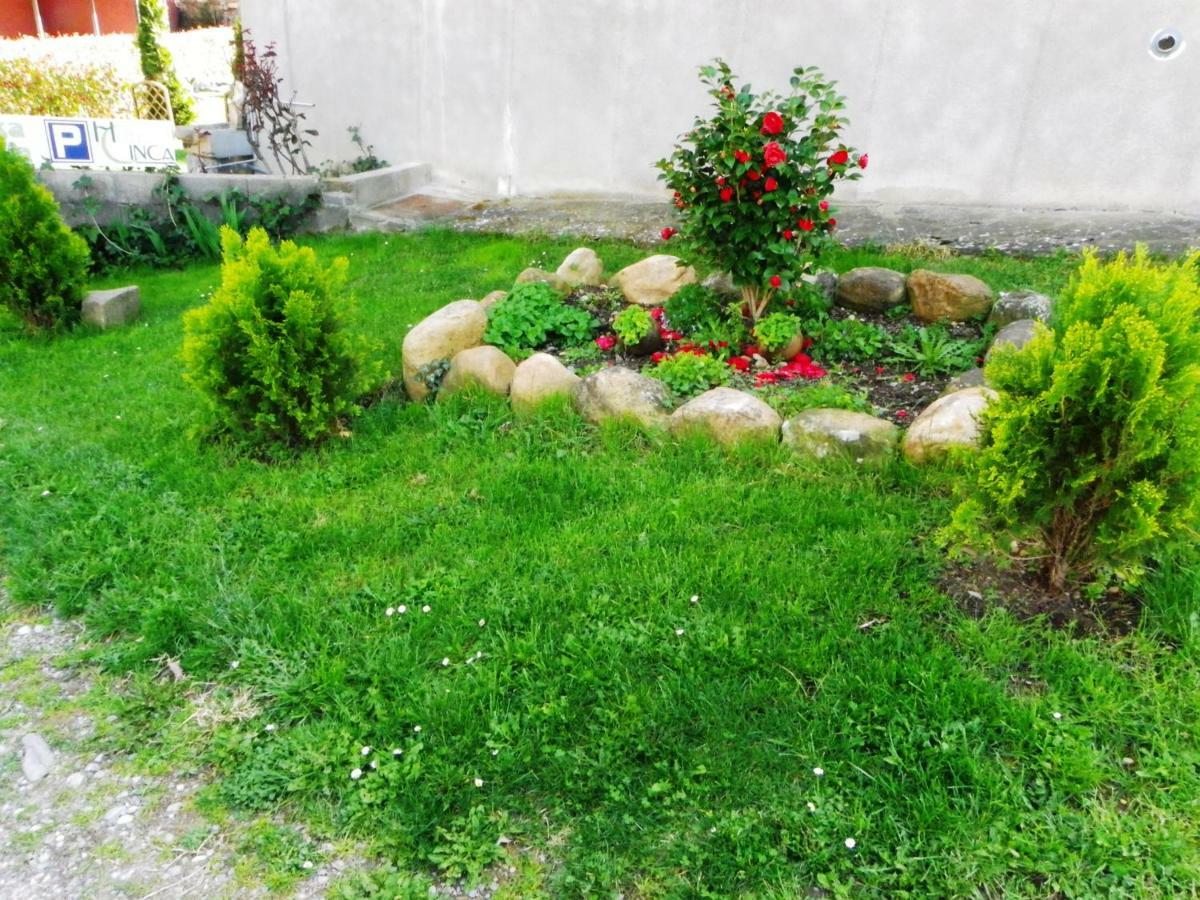 Casa Rural Sofia Ordesa Escalona  Bagian luar foto